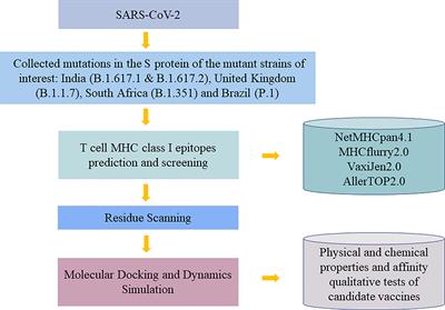 Computer-Based Immunoinformatic Analysis to Predict Candidate T-Cell Epitopes for SARS-CoV-2 Vaccine Design